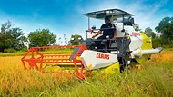 CROP TIGER 30 TERRA TRAC